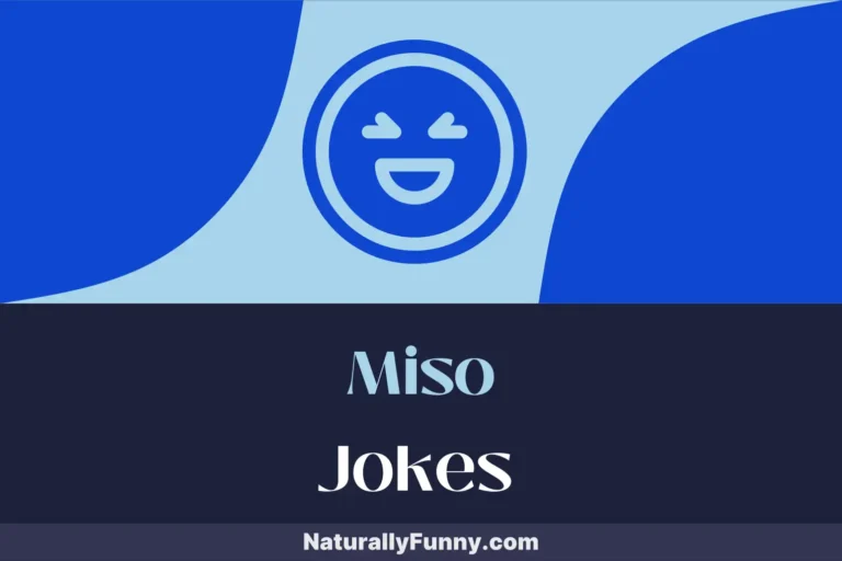 645 Miso Jokes for a Broth of Belly Laughs
