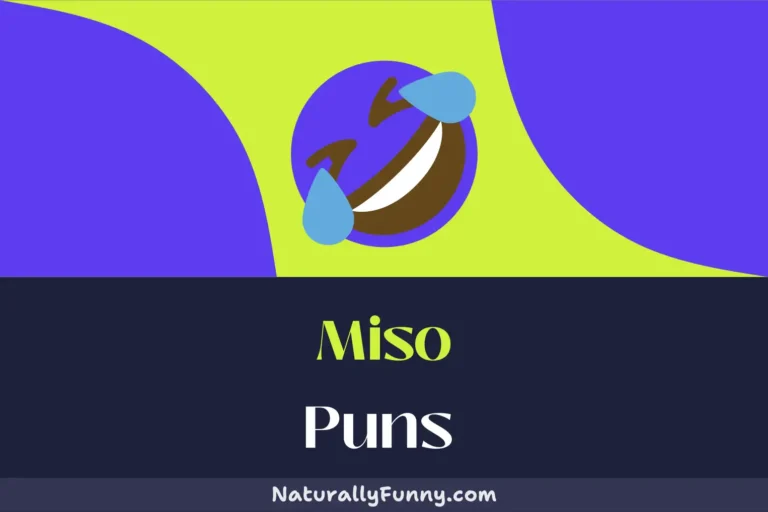 741 Miso Puns for Stirring Up Some Fun