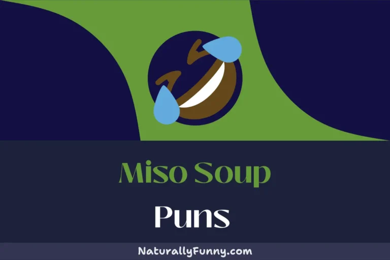 583 Miso Soup Puns That You Won’t Be Able to Spoonerism