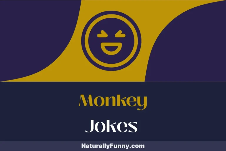 264 Monkey Jokes to Turn Your Jungle of a Day Upside Down