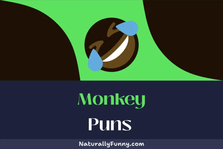 519 Monkey Puns to Make Any Jungle Jester Giggle