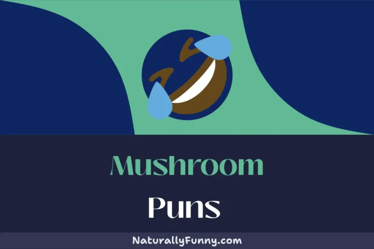 466 Mushroom Puns That Are Gilled with Giggles
