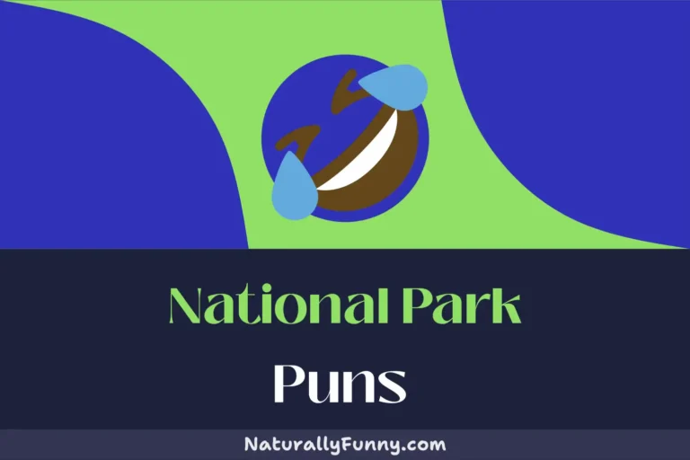543 National Park Puns That Are Tree-mendously Funny
