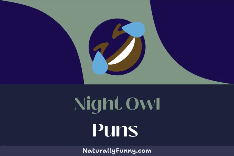 473 Night Owl Puns That Will Make Your Night Fly By