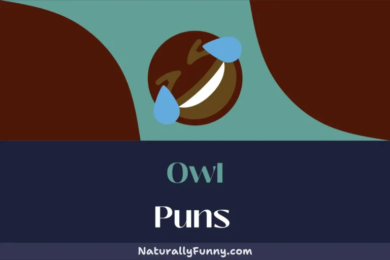 555 Owl Puns for Those Who Give a Hoot About Humor