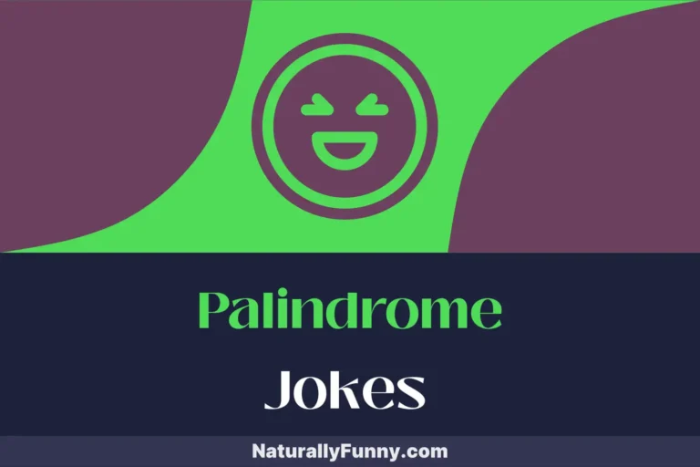805 Palindrome Jokes That Reflect Your Comical Side