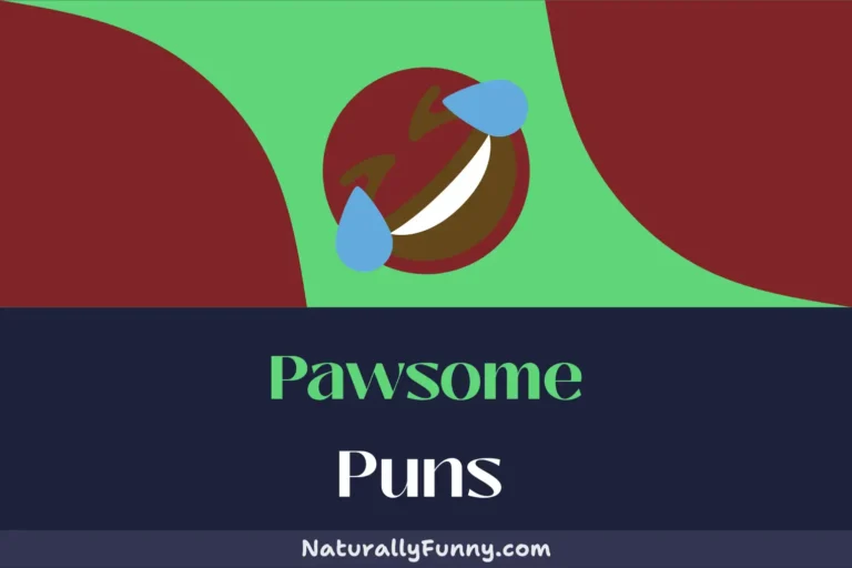 812 Pawsome Puns That Will Make You Howl with Laughter
