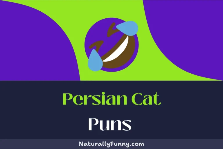 596 Persian Cat Puns That Are Simply Claw-some