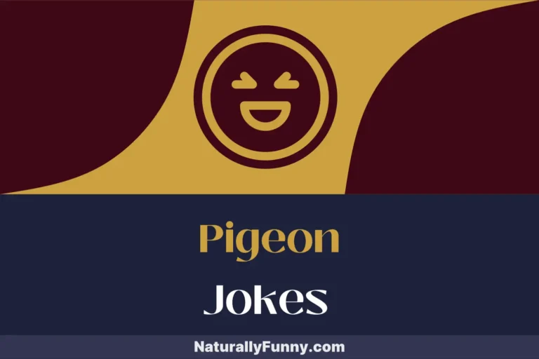 515 Pigeon Jokes for Birds of a Feather Who Love to Laugh