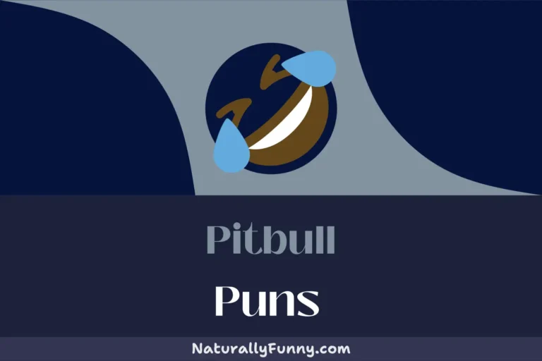 665 Pitbull Puns to Wag Your Tail At