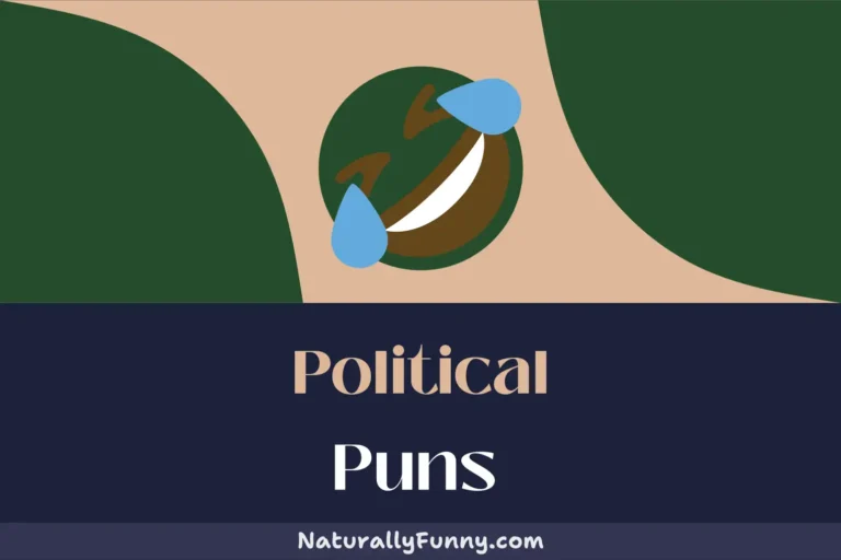 355 Political Puns That Will Make Democracy You Smile