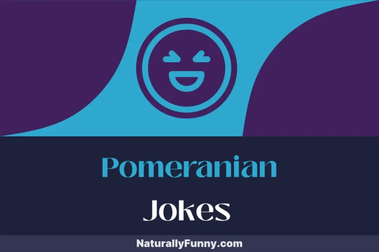 686 Pomeranian Jokes That Are the Pick of the Litter