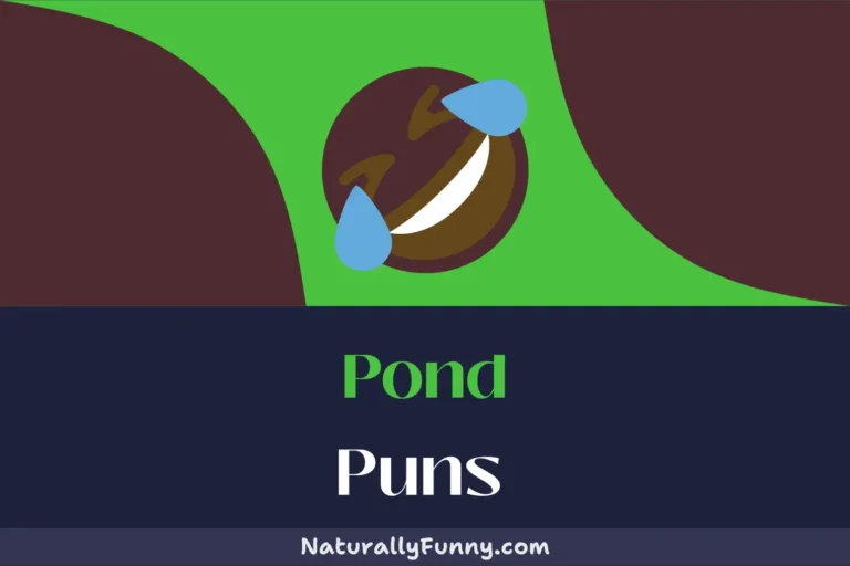 492 Pond Puns That Will Get You Hooked on Humor