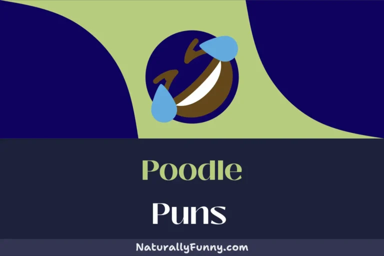 625 Poodle Puns to Paws-itively Brighten Your Day