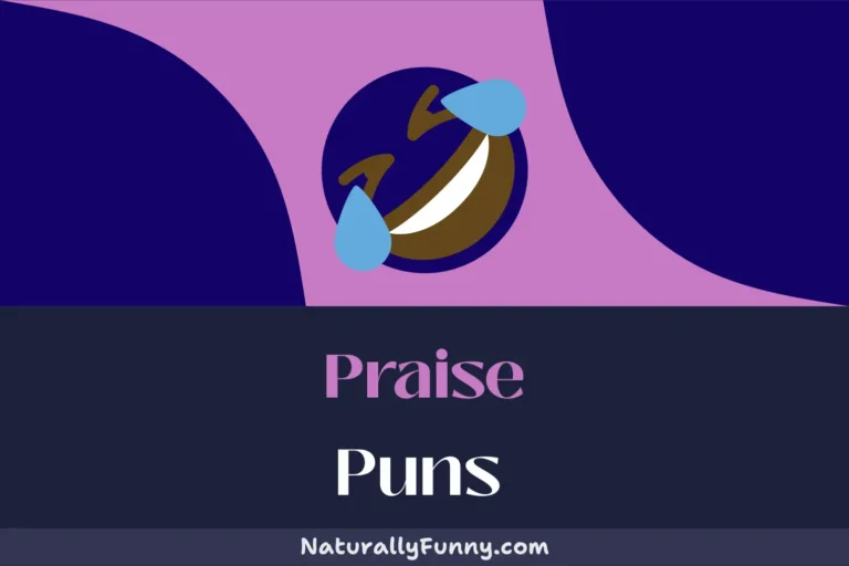 715 Praise Puns to Express Your Approval in Style