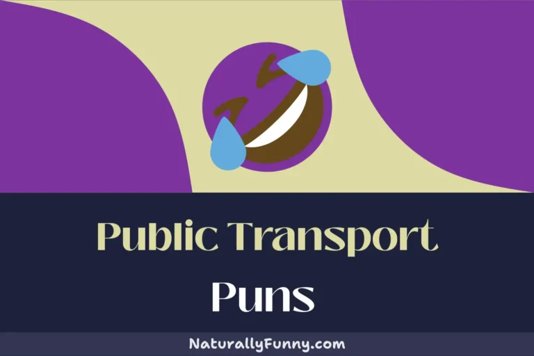 555 Public Transport Puns to Give Your Giggles a Free Ride