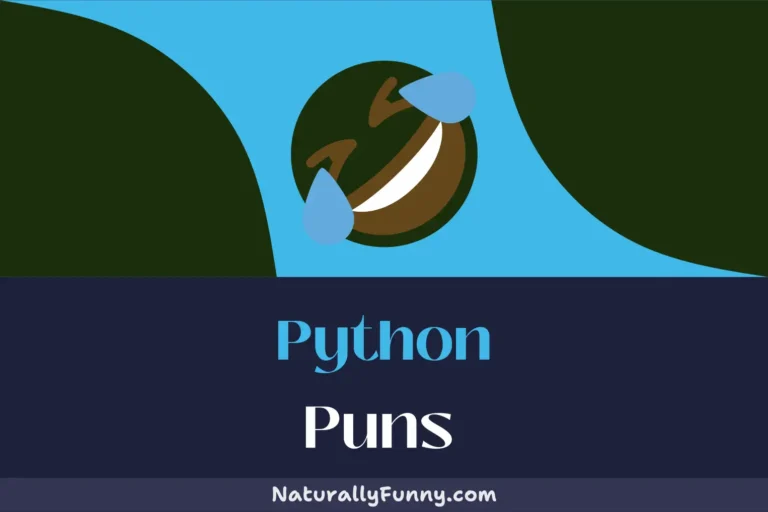 531 Python Puns to Coil Yourself Around for a Good Laugh