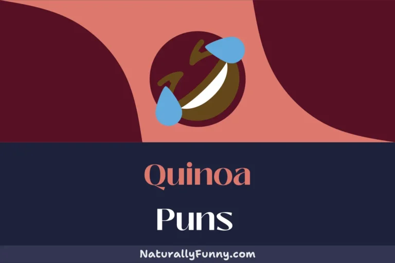 866 Quinoa Puns to Sprout Joy in Your Day
