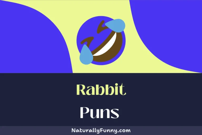 498 Rabbit Puns for a Hare-larious Time