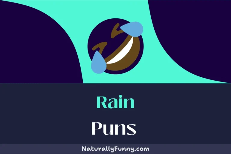 448 Rain Puns That Will Make You Shower With Laughter