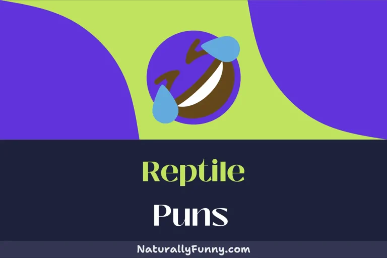 552 Reptile Puns to Slither into Your Funny Bone