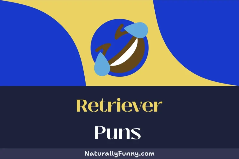 561 Retriever Puns to Unleash Your Inner Comedian