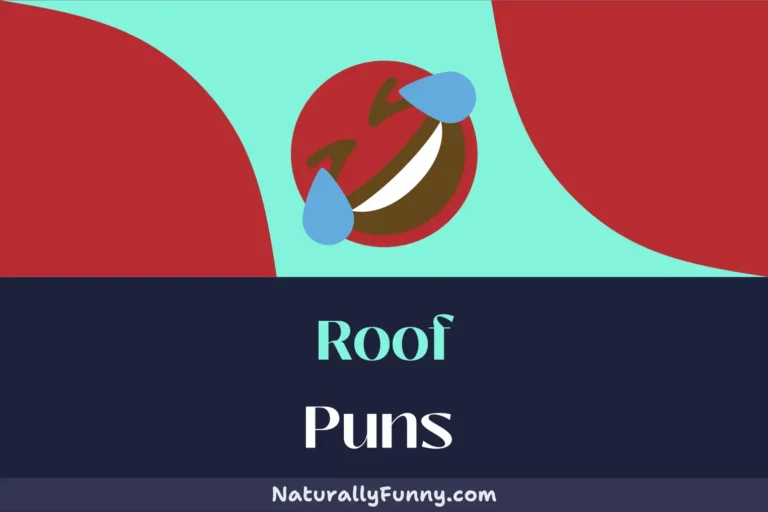 487 Roof Puns That Will Ridge All Your Worries