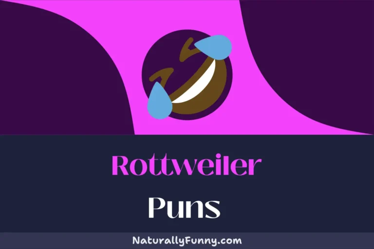 516 Rottweiler Puns That Will Fetch You a Good Laugh