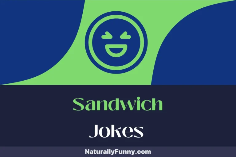 416 Sandwich Jokes That Lettuce Enjoy a Good Laugh