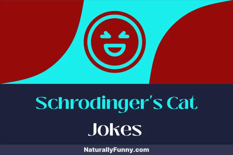 984 Schrodinger’s Cat Jokes That Quantum Leap into Humor