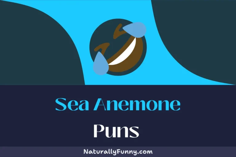 642 Sea Anemone Puns to Whet Your Comedy Whistle
