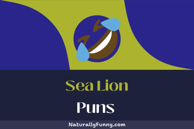 648 Sea Lion Puns to Make Your Day Fintastic