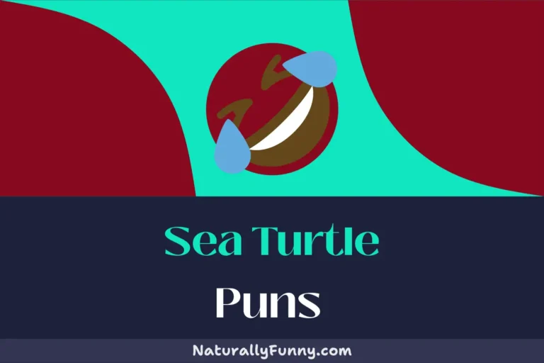 484 Sea Turtle Puns That Shell Definitely Crack You Up