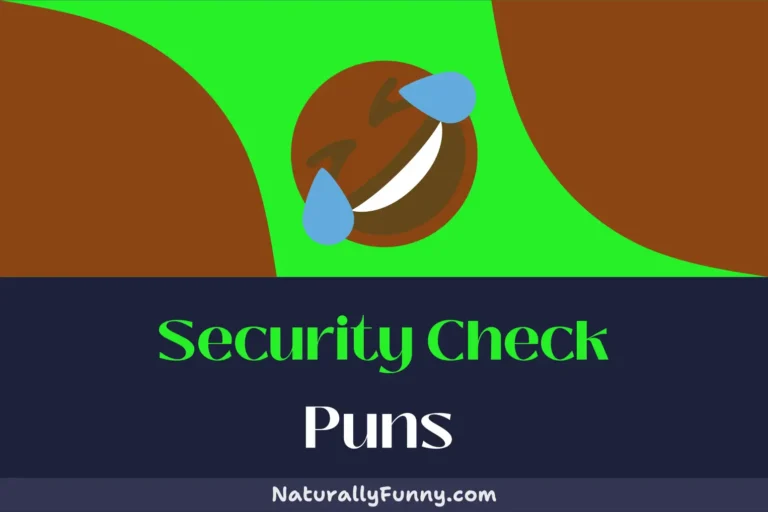 451 Security Check Puns to Safeguard Your Sense of Humor