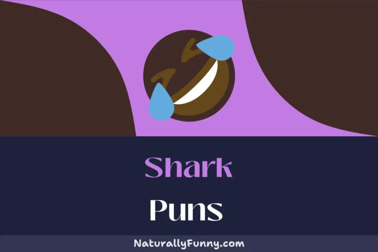 519 Shark Puns for Your Next Sea-riously Funny Party