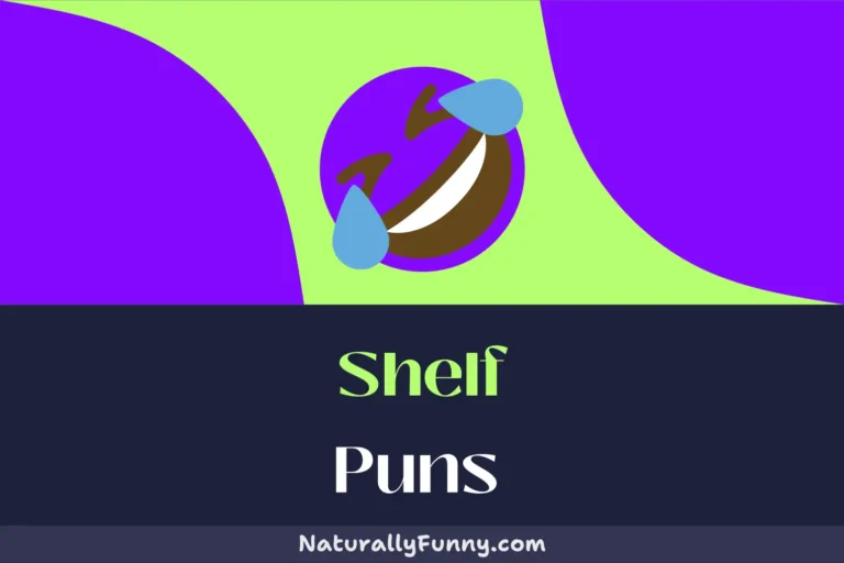 514 Shelf Puns for a Hilariously Arranged Comedy