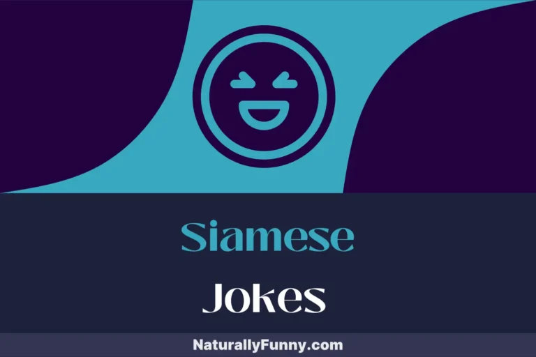 521 Siamese Jokes to Make Any Cat Lover Purr