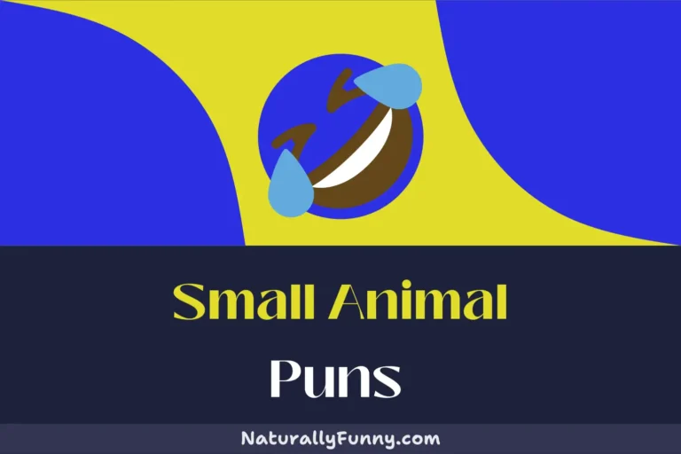603 Small Animal Puns for a Turtle-ly Hilarious Day