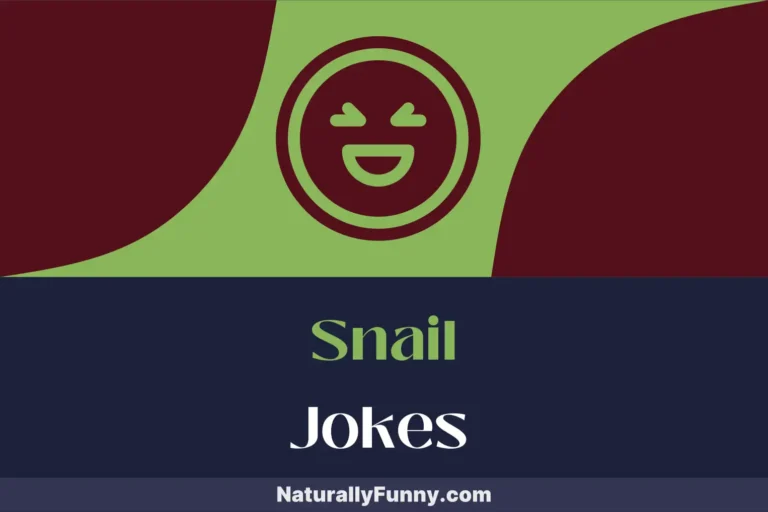 440 Snail Jokes to Break Your Slow Laughter Record
