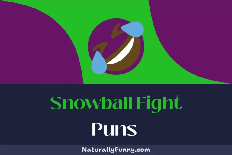 590 Snowball Fight Puns to Keep You Cool Under Pressure