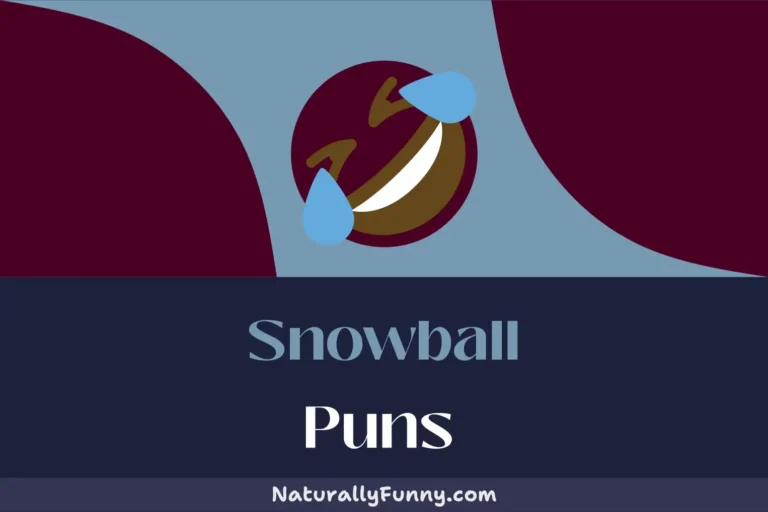 544 Snowball Puns That Are Perfect for a Frosty Day