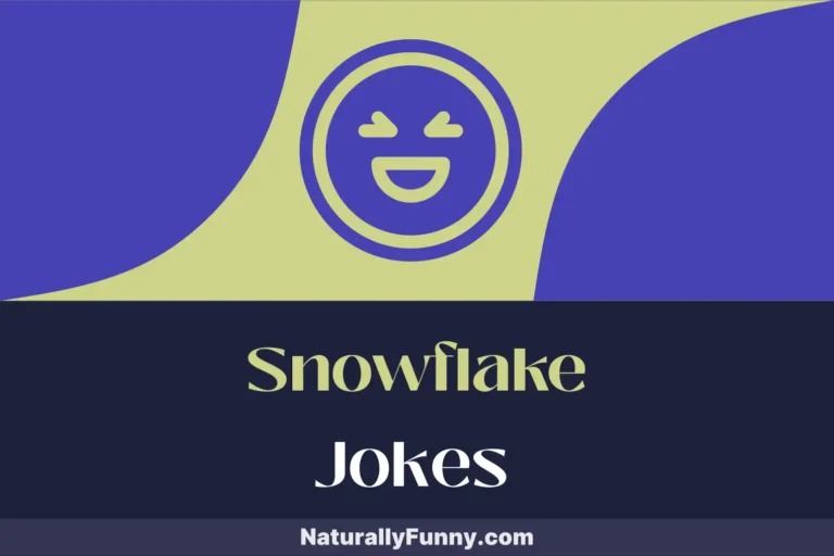 521 Snowflake Jokes That Bring the Chill of Humor