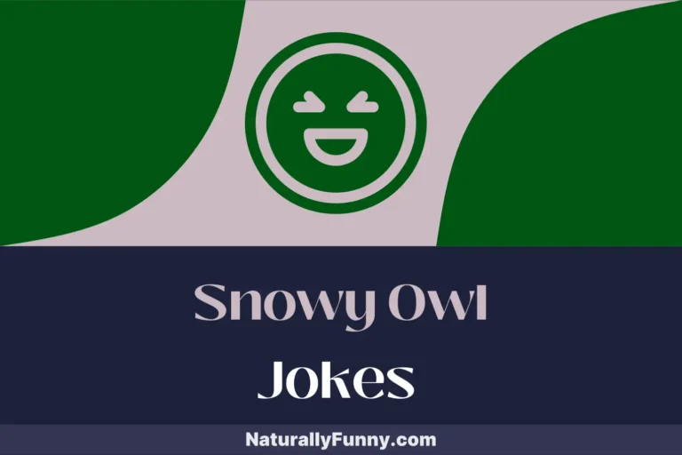 574 Snowy Owl Jokes That Will Give You Wings of Wit