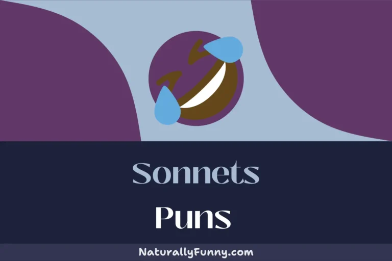 543 Sonnets Puns to Stir Up Some Comical Verses