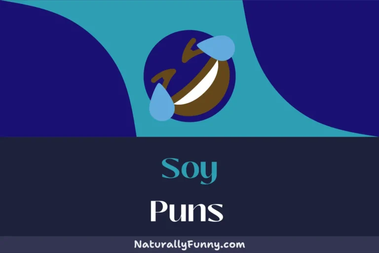 819 Soy Puns to Stir-fry Your Funny Bone