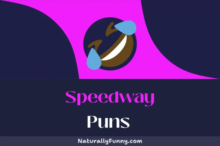 406 Speedway Puns for the Fast and the Funnious