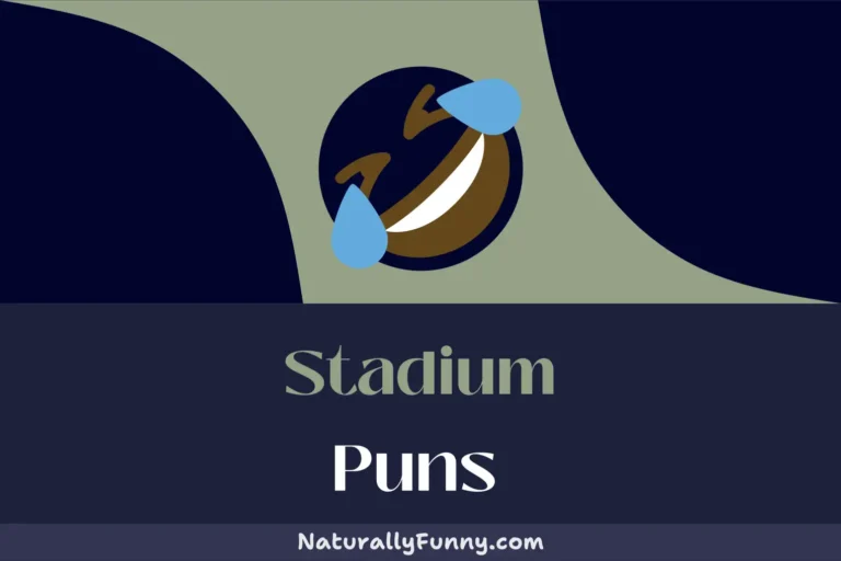 470 Stadium Puns for a Full-Scale Comedy Game