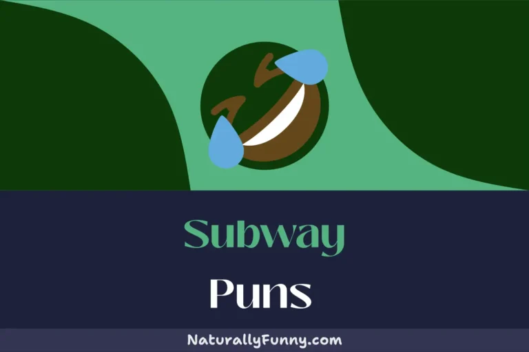 593 Subway Puns to Make Your Day Express-ly Funny