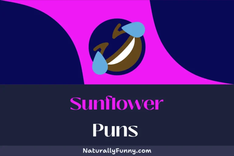 497 Sunflower Puns That Will Be the Highlight of Your Day