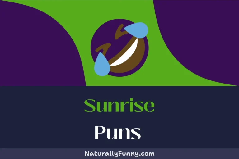 511 Sunrise Puns to Start Your Morning with a Smile